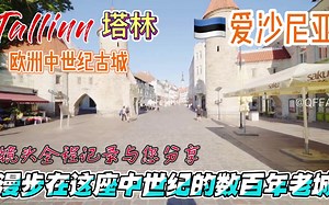 爱沙尼亚是一个发达的资本主义国家，由于其高速增长的经济，资讯科技发达，而被称作”波罗的海之虎“，世界银行将爱沙尼亚列为高收入国家。爱沙尼亚也是全世界空气质量最优