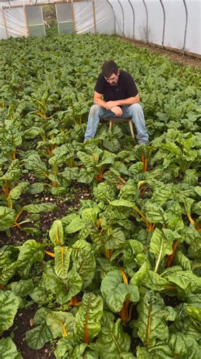 1.2K views · 359 reactions | Let’s make next year a good one!...