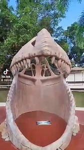 29K views · 186 reactions | It is official! Summer Season is ON....