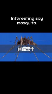 Interesting spy mosquito. #spy #mosquitos #drone #knowledge #creepy #technology #laser #foryoupagereels | JM Zakaria