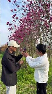 Master Magnolia Photography in 4 Easy Steps