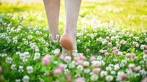 Get A Healthy Lawn With 6 Grass Alternatives That Can Take The Heat