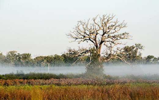 Pickerington Ponds - Metro Parks - Central Ohio Park System