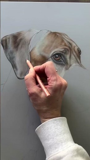 How to Draw Fur with Colored Pencils | Simple Layering Techniques