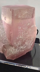 984 reactions · 52 shares | First full day shopping the world's...