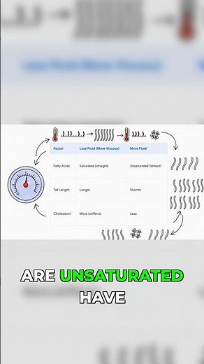 The Genius Mechanism Keeping Your Cells Alive #biology #mindblown