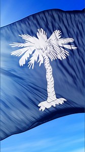 South Carolina's hands-free driving law goes into effect on Monday