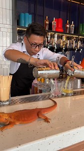 Throwback to a night where spirits flowed and creatures roamed. From daring cocktails to close encounters with snakes and a bearded dragon, Wild Spirits Night at Senses Bar was truly wild | Iconic Marjorie Penang, a Tribute Portfolio Hotel