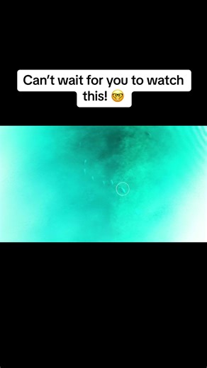 Underwater Carp Fishing Comedy with OMC Tackle | One More Cast