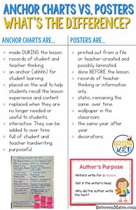 主播和记者 - 娱乐 2026