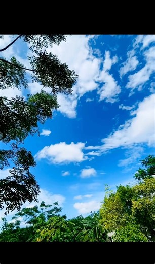 How’s your Sunday going?😊 Me? I’m exhausted! And I know I’ll be more exhausted on Tuesday🫠because you’re writing My Consumers paper📑 I hope you’re studying📖and don’t forget to give yourself a break! Here’s Part 4 on Decision Making😊Click your Bics🖊️and start taking down notes📝 #education #consumerstudiesteacher📚📝 #Bic #nature #Edutok