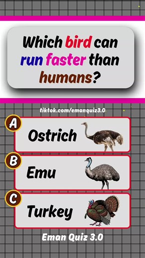 Birds Quiz: Test Your General Knowledge About Birds