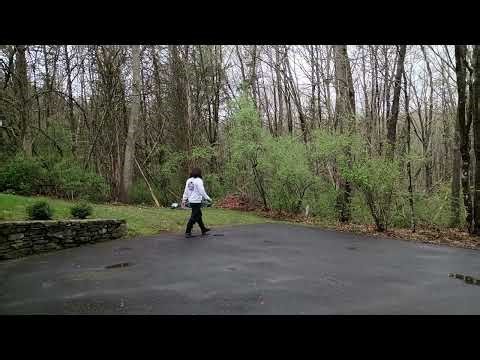 Walk Down the Road - Folk - Captain Wormburner