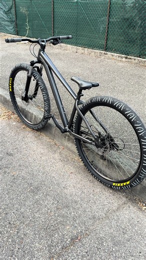 Rockrider EXPL100 review: Maxxis tyre setup and clean bike tips