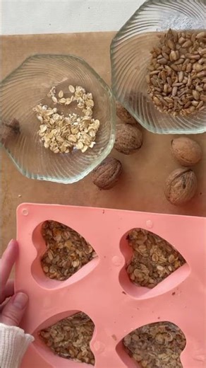 How to Make Bird Food at Home🐦