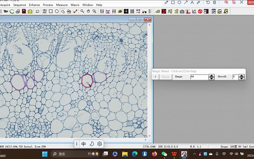 Imgae pro plus(IPP) 不好用颜色进行选中的图中进行手动选中和测量面积、直径
