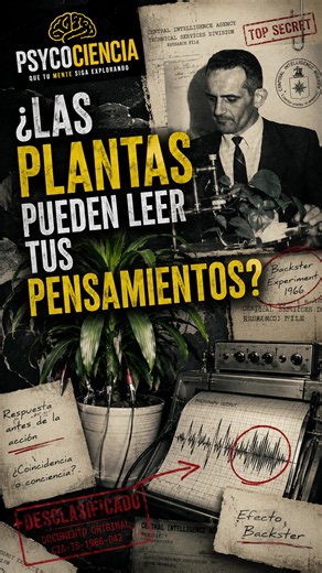 ¿LAS PLANTAS PUEDEN LEER TUS PENSAMIENTOS?🧠🌿 Un experimento realizado en 1966 aseguró que una planta reaccionó antes de que un hombre actuara. La ciencia nunca aceptó esas conclusiones, pero el caso sigue siendo uno de los experimentos más polémicos sobre la conciencia vegetal. ¿Simple coincidencia… o algo que todavía no sabemos explicar? 👁️ Esto es PSYCOCIENCIA. Que tu MENTE siga explorando. #plantas #cia #enparati #viralvideo #viral