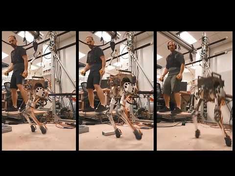 MIT Little HERMES Bipedal Robot With Two-Way Teleoperation