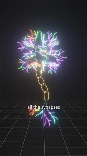 Neurons compute with CHEMISTRY NOT ELECTRICITY