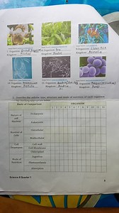 Describe the cellular type, structure, and mode of nutrition of... | Filo