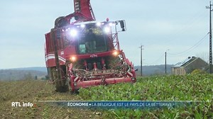 La saison des betteraves bat son plein, et cela se voit sur les routes