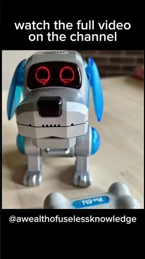 Poo-Chi: The Robotic Dog We All Loved Back in the Day | 90's Nostalgia | #throwbackthursday
