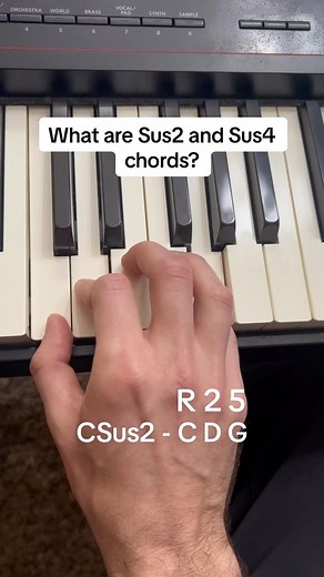 How to play Sus chords on piano such as Sus2 and Sus4 chords on piano! This is a music theory concept that teaches you how to make variations of your major chords by replacing the 3rd of the chord with the 2nd or 4th. Great beginner piano lesson for songwriters or jazz piano players. Follow me for the best beginner online piano lessons! #beginnerpianolessons #musictheory #musictheoryforbeginners #suschords #onlinepianolessons #pianochords #easypianolessons #howtoplaypiano | Digital Piano School