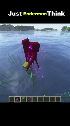 Just Enderman Think #minecraft #minecraftlogic #minecraftfunny