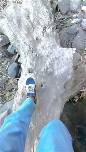 #shortvideos📸 going to 📸 video ko ek bar jarur like kare🥰🥰🙏🙏