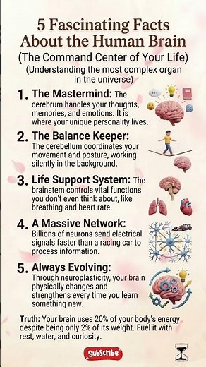 5 Mind-Blowing Facts About Your BRAIN 🧠 #brainfacts