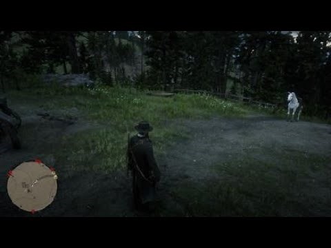 Red Dead Redemption 2 Gold earrings location and free semi auto shotgun location