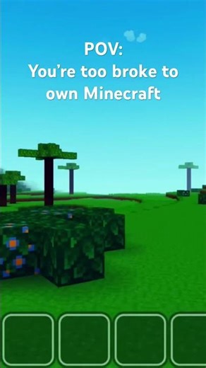 POV: You’re too broke to buy Minecraft #gaming #minecraft #trending #fyp #viral #youtubeshorts #fypp