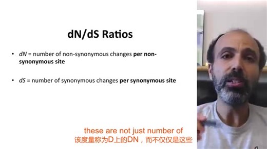 【遗传与进化专题】比较基因组分析之正选择分析（dN/dS或ka/ks计算原理）中英文双语字幕--转自Youtube