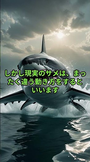 サメが人を襲う怖すぎる3大危険種の"攻撃パターン"