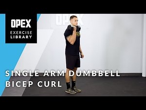 Single-Arm Dumbbell Curl - OPEX Exercise Library