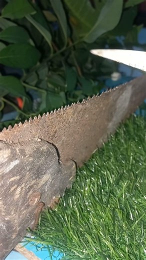 The Secret Method to Sharpen Any Hand Tool Fast