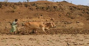 Alternative Farming Methods: A Step Towards a Brighter Future