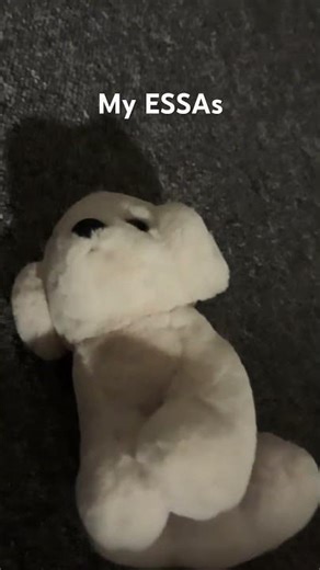 #essa #funny #memes #cute #essalove #essacommunity #essasarevalid #babifreitas #comedy #essaowner