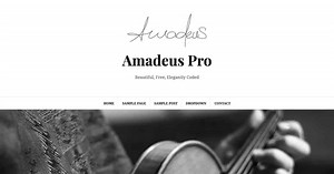 Amadeus Pro - Minimal WordPress Blogging Theme @ ThemeIsle