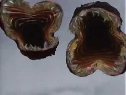 Guile's Theme goes with everything - Flying Maneating Meatballs (The Langoliers)