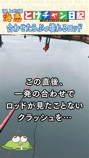 【とけチャン日記】 合わせたらぶっ壊れるロッド #ショート #short #海上釣堀 #海恵 #釣り