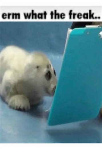 Navigating Future Dates: What to Expect Ahead