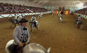 Sorry, we have encountered a problem. - Alexander Street, a ProQuest Company