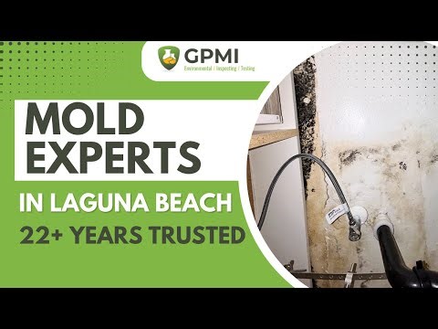 Certified Mold Inspection & Testing in Orange County | Advanced ERMI Analysis | GPMI