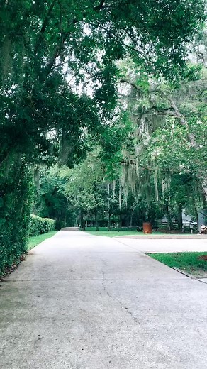 Emma Ferreira on TikTok