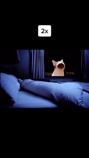 Popcat Memes - The Purrfect Laugh Generator