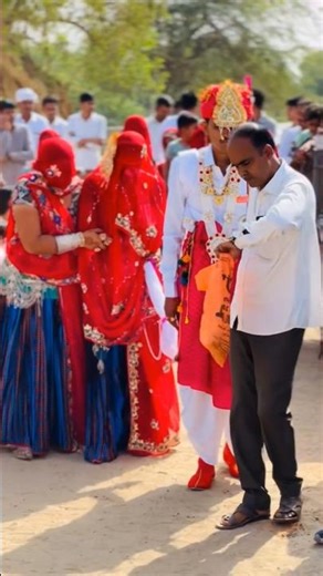 Marwari wedding songs #trendingreels #marwadi