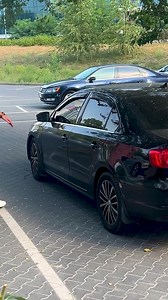 Unbelievable Rescue by a Dog! | Dear Diary