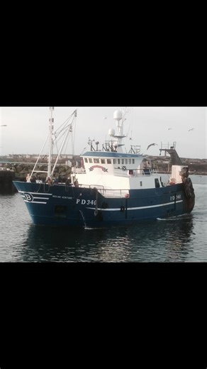 Trawlermen Tales: Secrets of Big Catches Unveiled