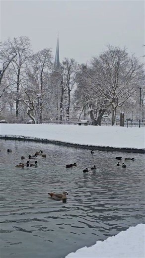 Darmstadt Hesse Germany January 2026 ❄️ | Devika Wadigamangawa